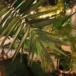 Casa de hóspedes Brigantina