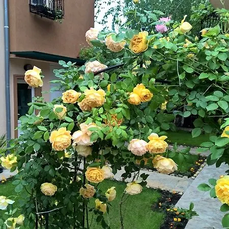 Guest house Brigantina 3*