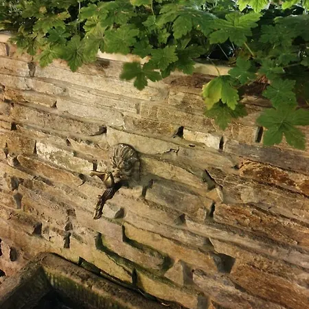 Pensiune Brigantina Nesebăr