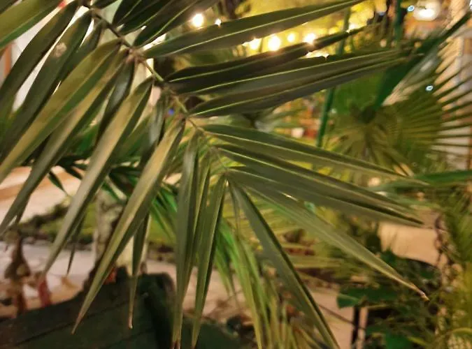 Gæstehus Brigantina